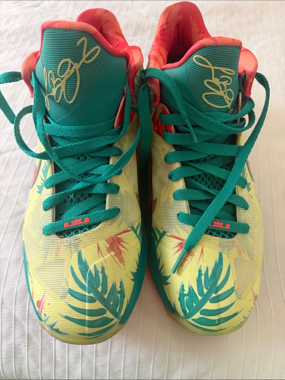Lebron James shoe lebronald palmer